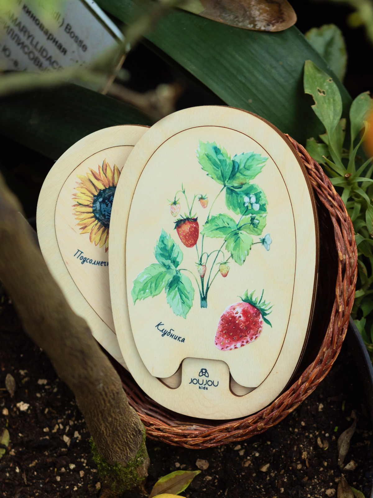 картинка Умняшка-деревяшка "Клубника" от магазина JOUJOU