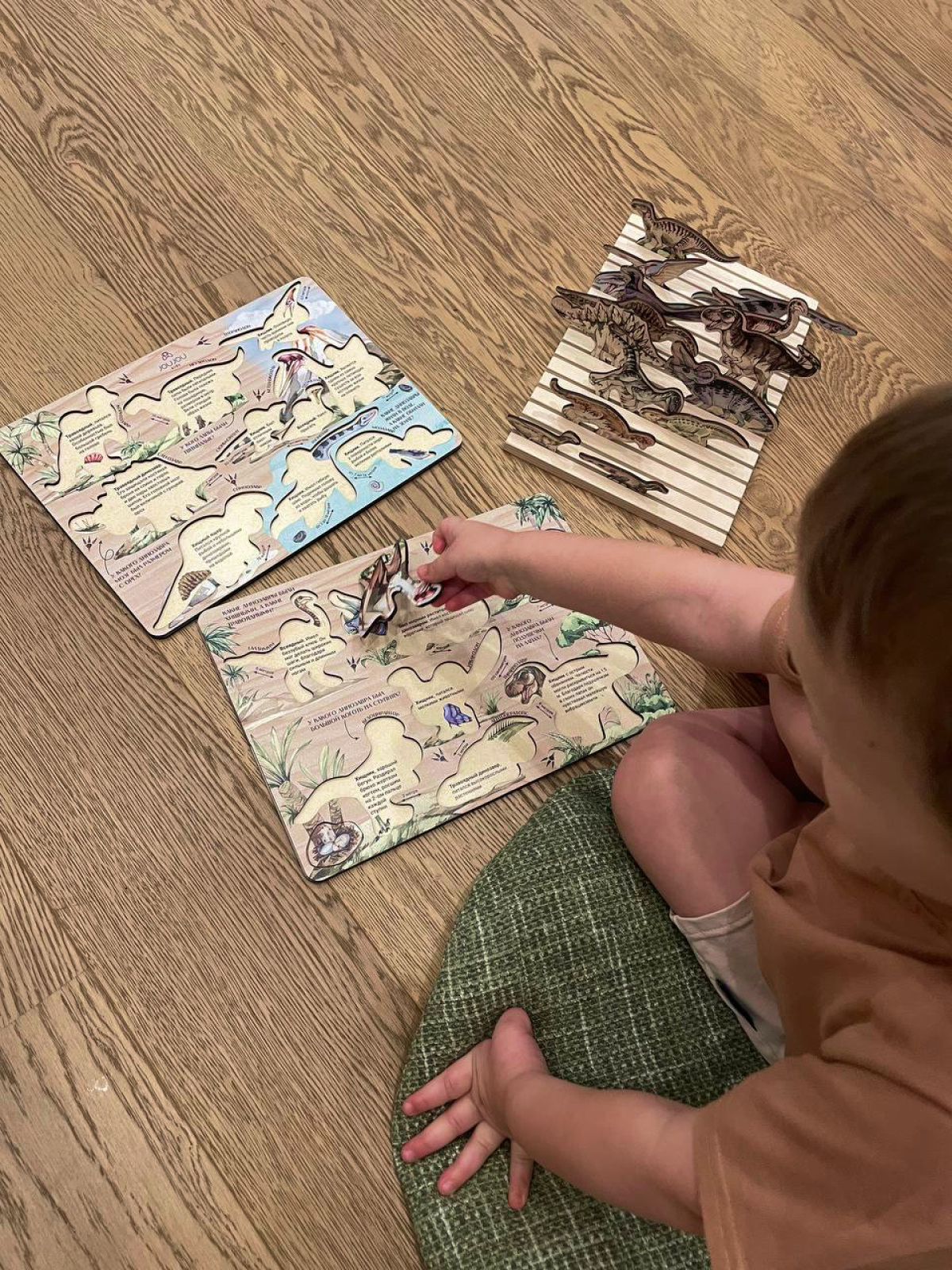 картинка Набор дидактических пазлов "Мир динозавров" в деревянной коробке от магазина JOUJOU