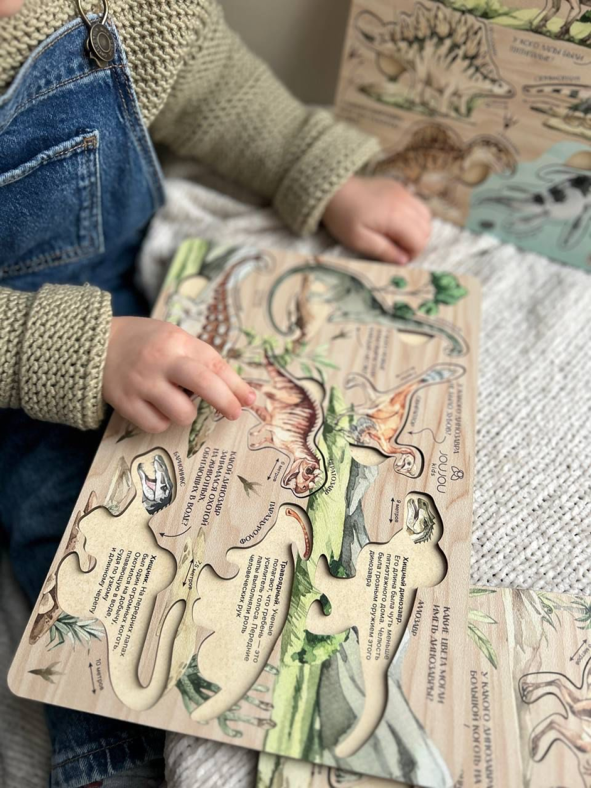 картинка Набор дидактических пазлов "Мир динозавров" в деревянной коробке от магазина JOUJOU