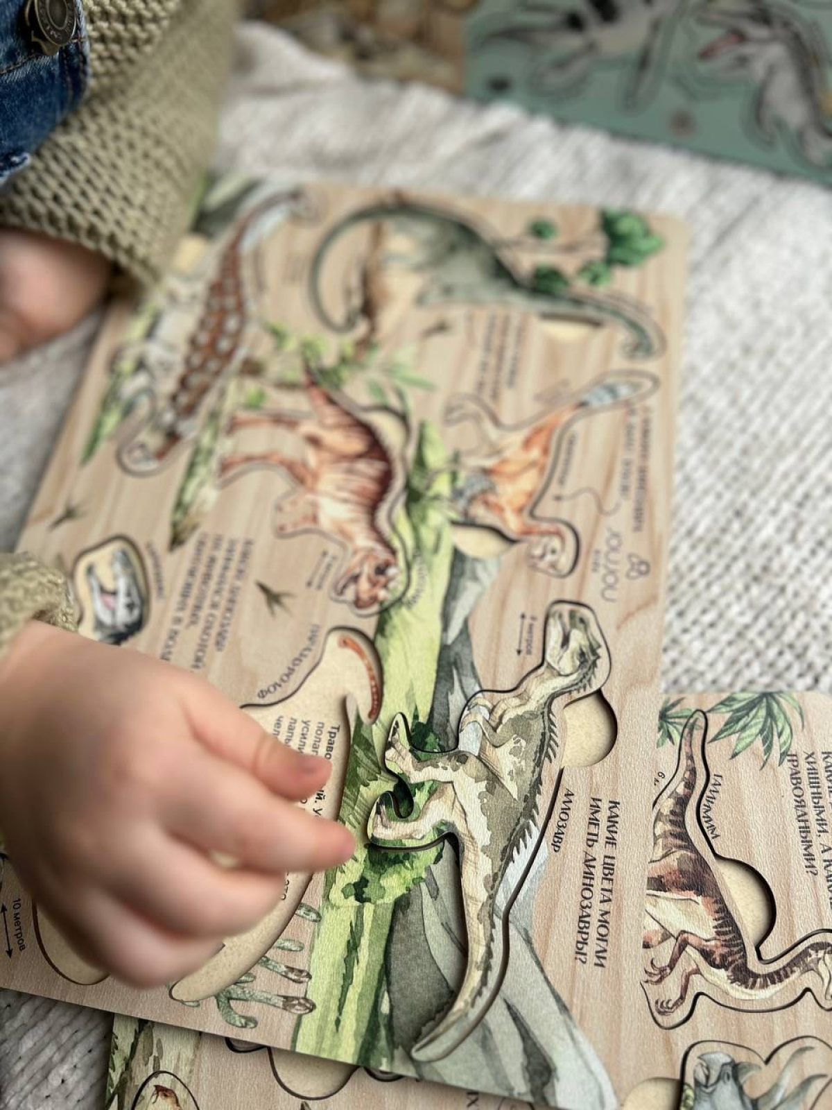 картинка Набор дидактических пазлов "Мир динозавров" в деревянной коробке от магазина JOUJOU